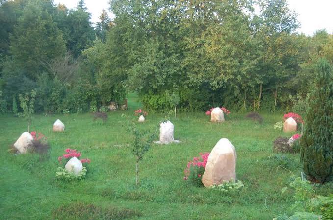 Erdenhüterkristalle - Meditationsabend – Bild 6
